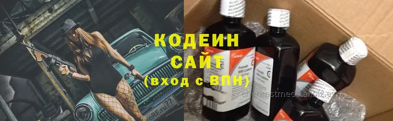 продажа наркотиков  Горнозаводск  Codein Purple Drank 